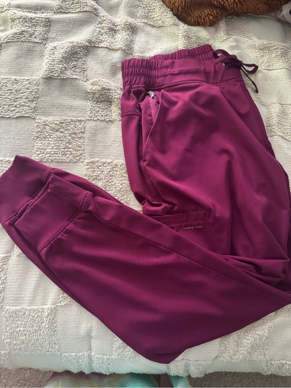 Healing Hands Works Jogger Scrub Pant
